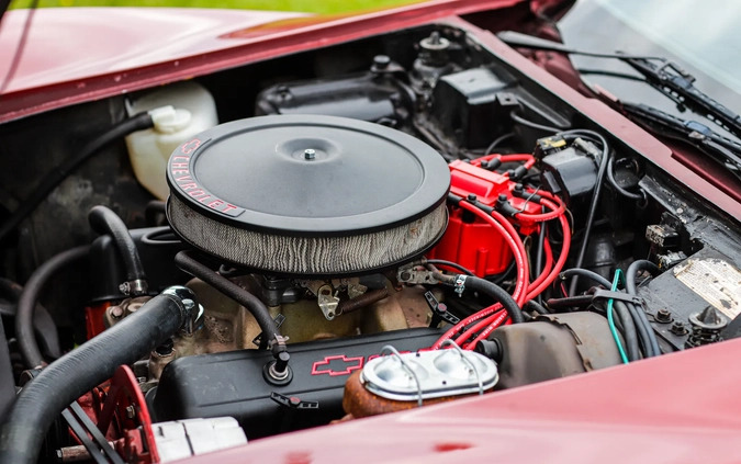 Chevrolet Corvette cena 72000 przebieg: 110000, rok produkcji 1973 z Sianów małe 46